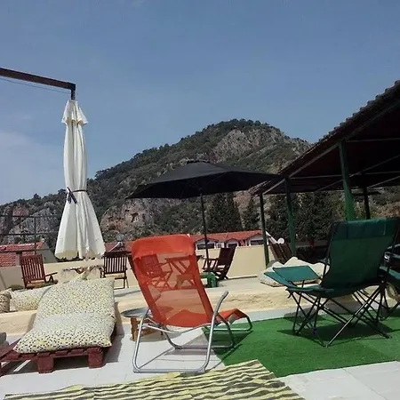 Caretta Caretta Дальян