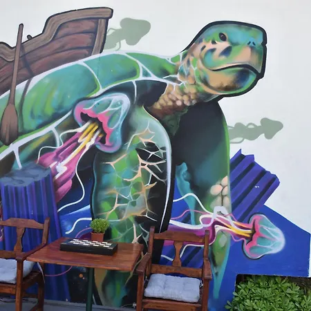 Caretta Caretta 달리안