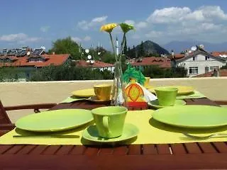 Szálloda Caretta Caretta 2*